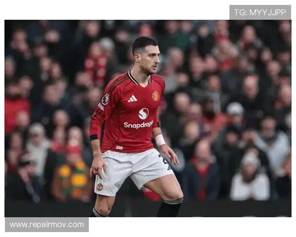 达洛特本赛季表现稳健,防守数据持续提升