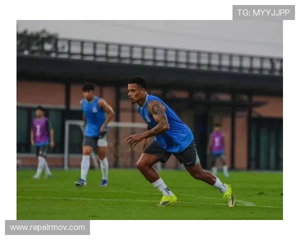 申花外援高效进攻问题日益凸显，球队进攻层次表现面临考验